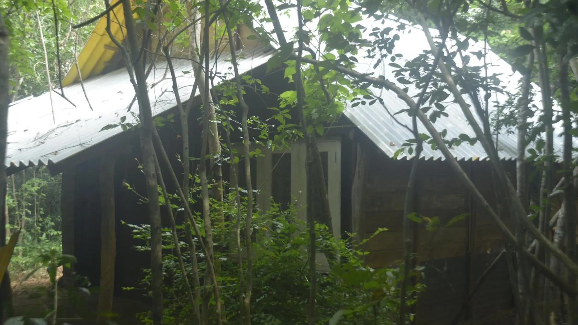 Forest Camping Fun Hostel Dambulla