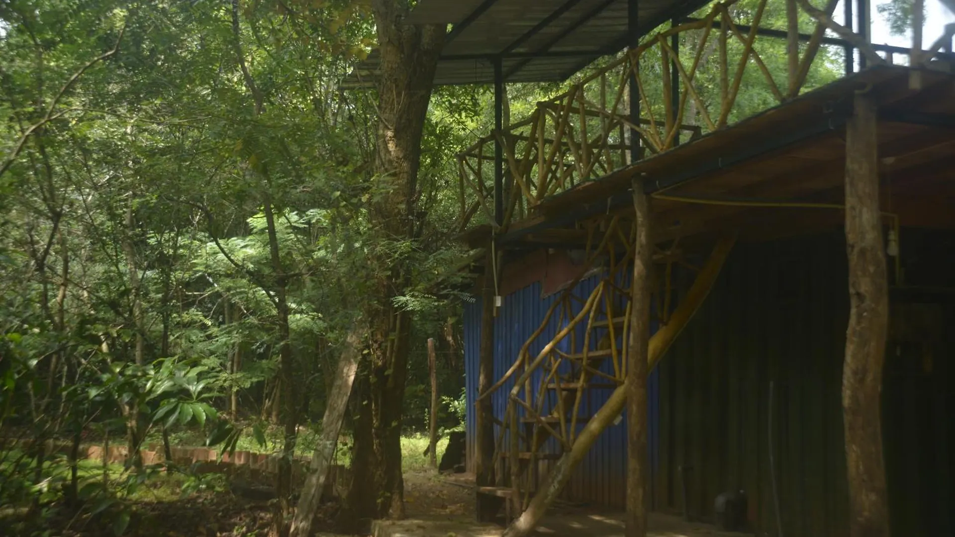 Forest Camping Fun Hostel Dambulla