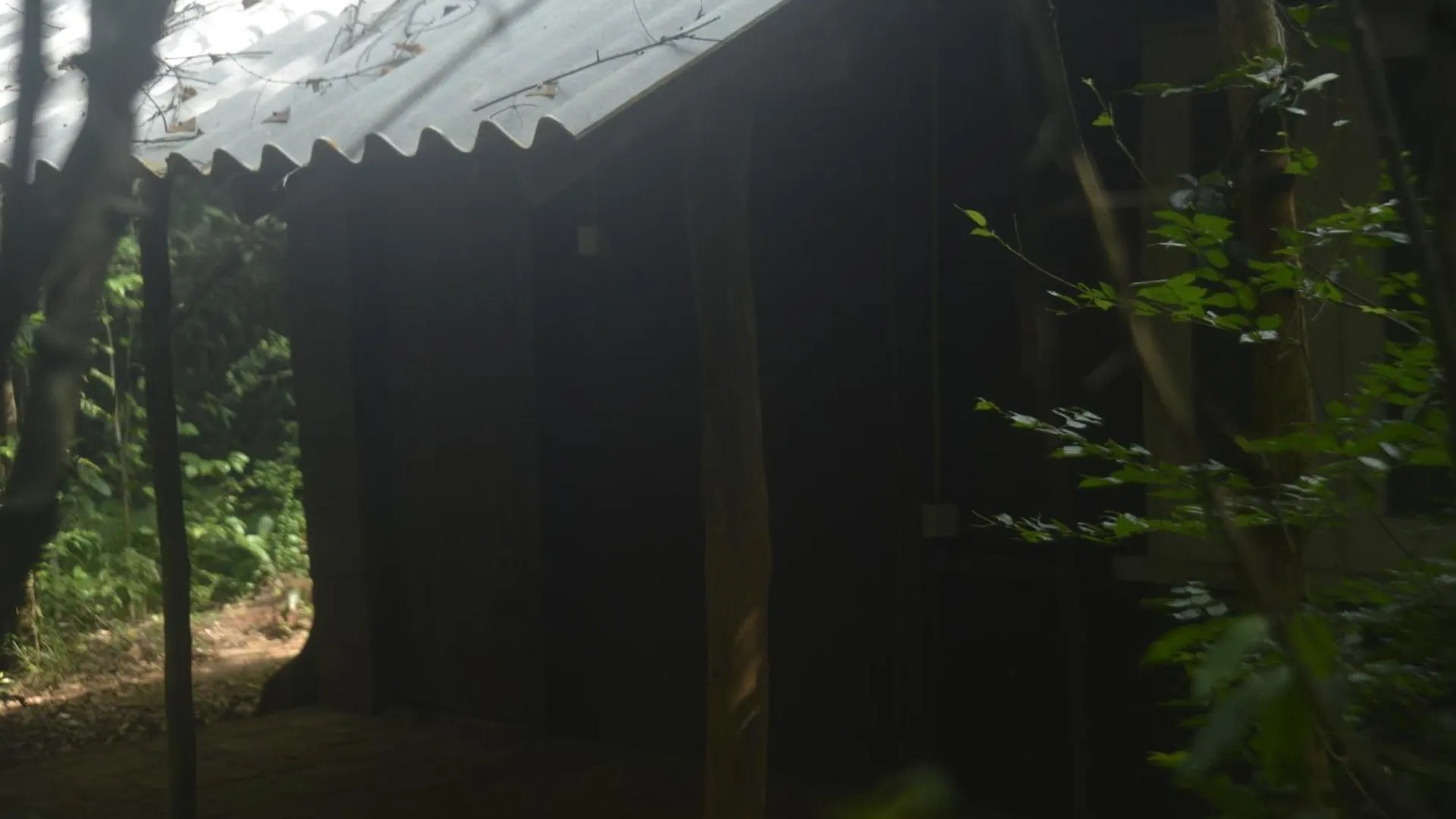 Forest Camping Fun Hostel Dambulla Sri Lanka